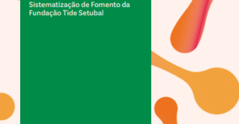 Capa da publicação 'Metodologias de Fomento a Organizações e Lideranças'. A imagem contém o título do material, uma faixa vertical na cor verde, que ocupa a metade central, e detalhes com fundo em tonalidade bem suave na cor rosa e grafismos em tons amarelo, alaranjado e avermelhado.