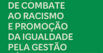 Imagem da publicação 'Mapeamento de Ações de Combate ao Racismo e Promoção da Igualdade pela Gestão Pública Brasileira'. A capa é predominantemente verde e contém o título na cor branca.