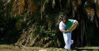 Cena da videodança 'De Bará a Oxalá'. A imagem mostra um artista caracterizado como Oxóssi e faz apresentação com balaio e flores em meio a uma área arborizada.