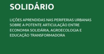 Capa da publicação 'Desenvolvimento Territorial Solidário: Lições aprendidas nas periferias urbanas sobre a potente articulação entre economia solidária, agroecologia e educação transformadora'. Trata-se de arte predominantemente verde com o título na cor branca. Há, no rodapé, os logos do Instituto Paul Singer e da Fundação Tide Setubal.