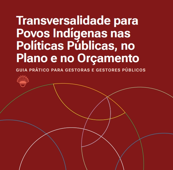 Transversalidade para Povos Indígenas nas Políticas Públicas, no Plano e no Orçamento